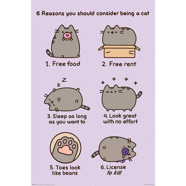 Pusheen Poster - Reasons