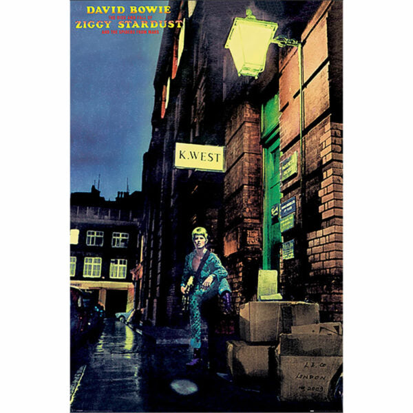 David Bowie Poster - Ziggy Stardust