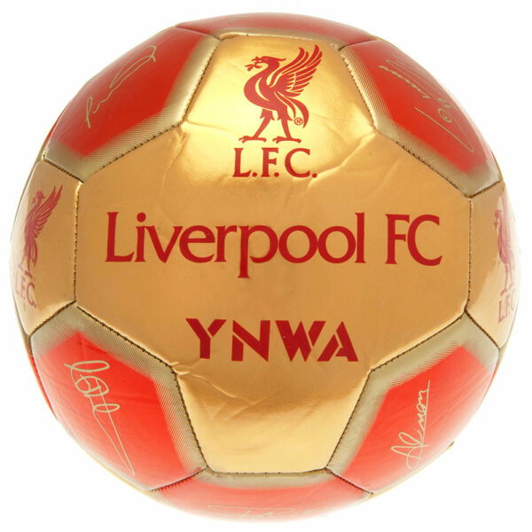 Liverpool FC 26 Panel Football