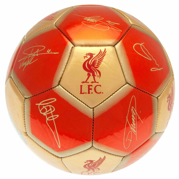 Liverpool FC 26 Panel Football