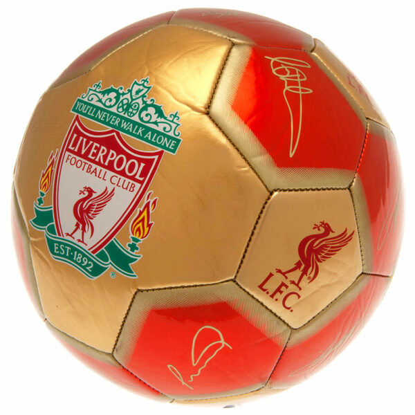 Liverpool FC 26 Panel Football