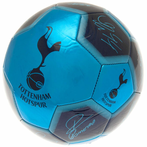 Tottenham Hotspur FC 26 Panel Football