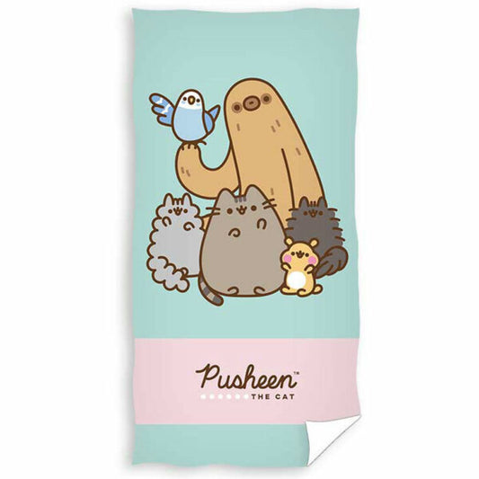 Pusheen Towel