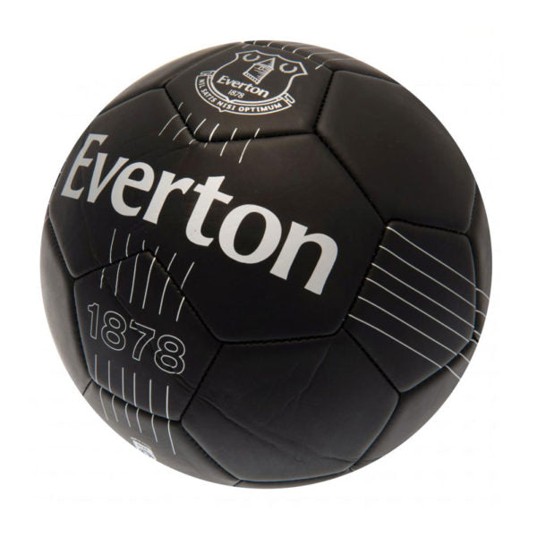 Everton FC Skill Ball