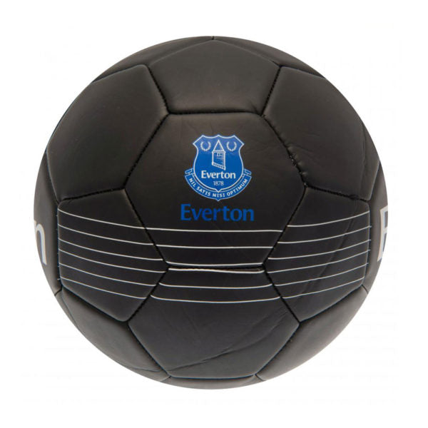 Everton FC Skill Ball