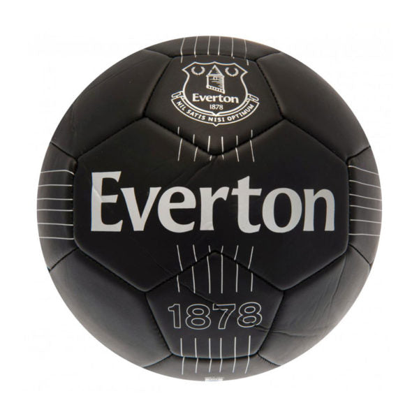 Everton FC Skill Ball