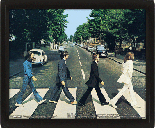 The Beatles Framed 3D Picture - Abbey Road