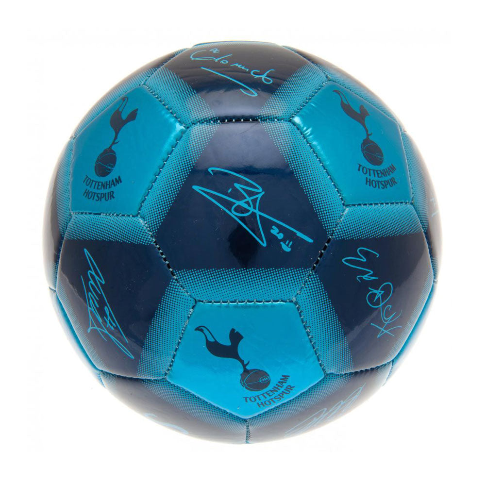 Tottenham Hotspur FC Skill Ball - Signature