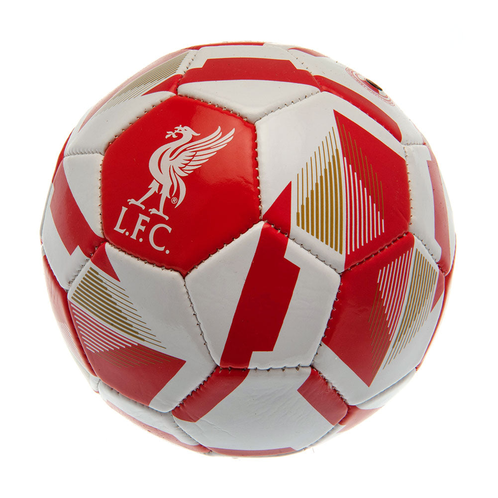 Liverpool FC Skill Ball