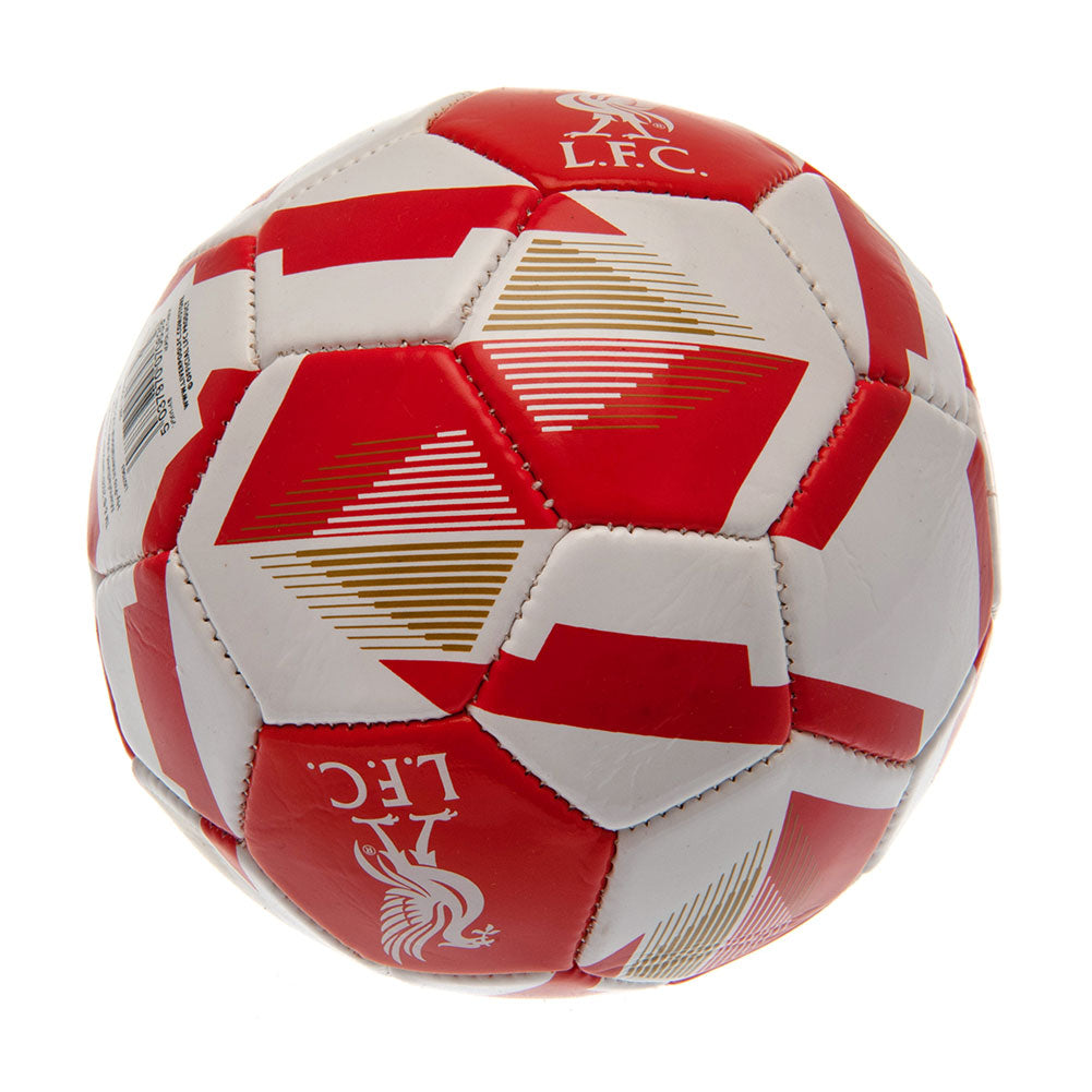 Liverpool FC Skill Ball