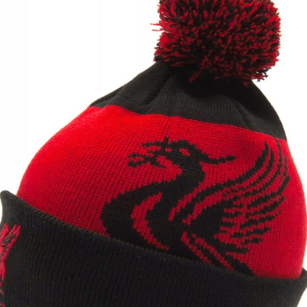 Liverpool FC Quick Check Ski Hat