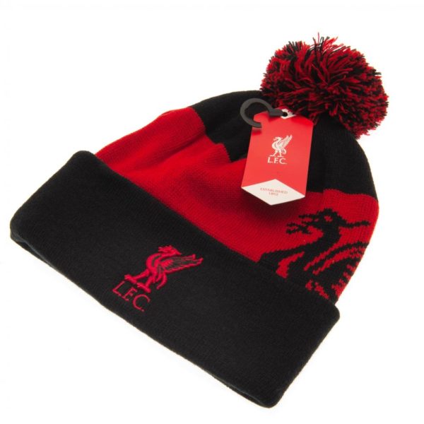 Liverpool FC Quick Check Ski Hat