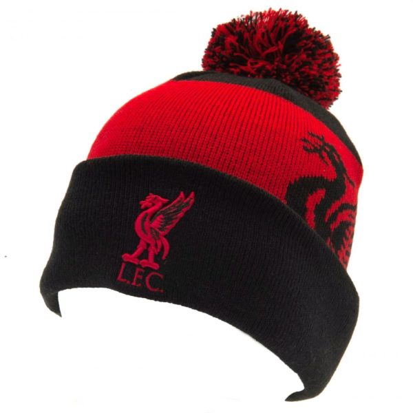 Liverpool FC Quick Check Ski Hat