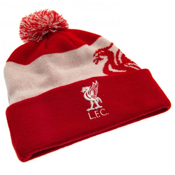 Liverpool FC Quick Check Ski Hat