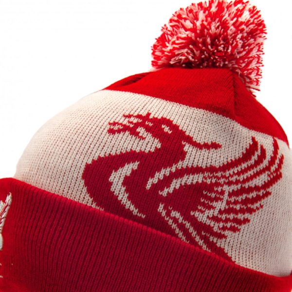 Liverpool FC Quick Check Ski Hat