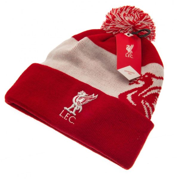 Liverpool FC Quick Check Ski Hat