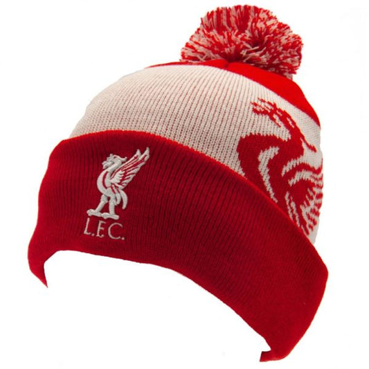 Liverpool FC Quick Check Ski Hat