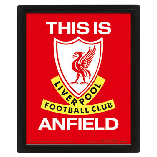 Liverpool FC Framed 3D Picture