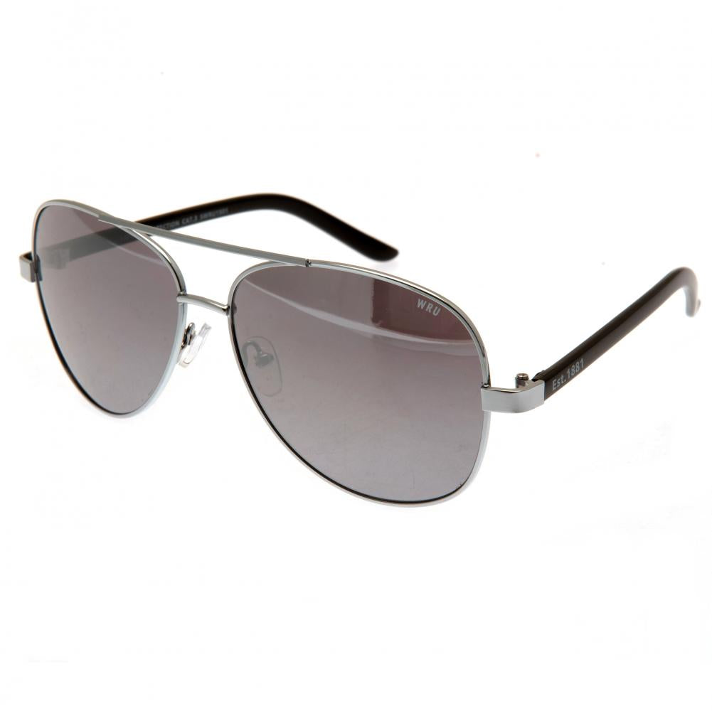 Wales RU Sunglasses Adult Aviator