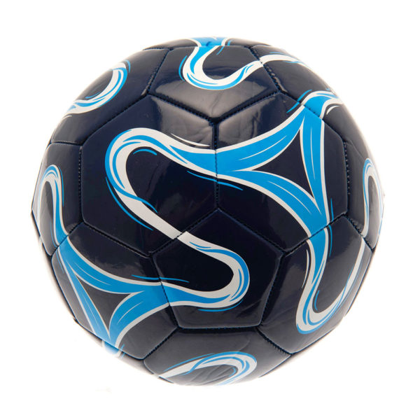 Tottenham Hotspur FC Skill Ball