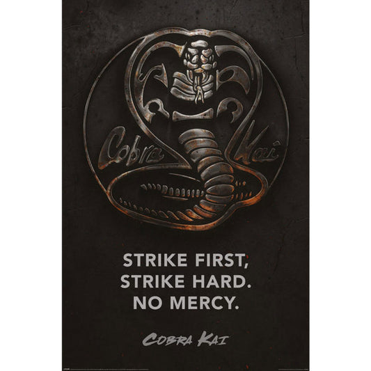 Cobra Kai Poster - Metal