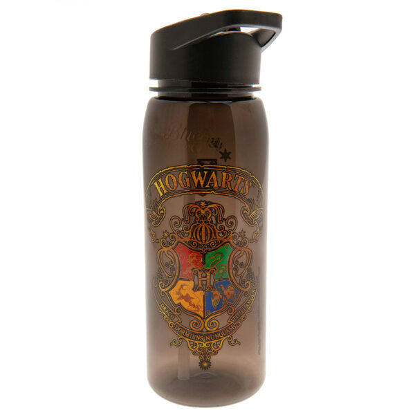 Harry Potter Flip Top Drinks Bottle